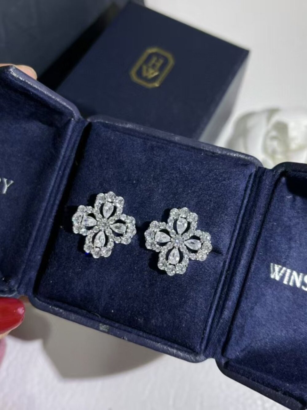 Harry Winston Earrings